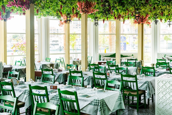 Charming restaurant with green chairs, tables, and plants hanging from the ceiling.