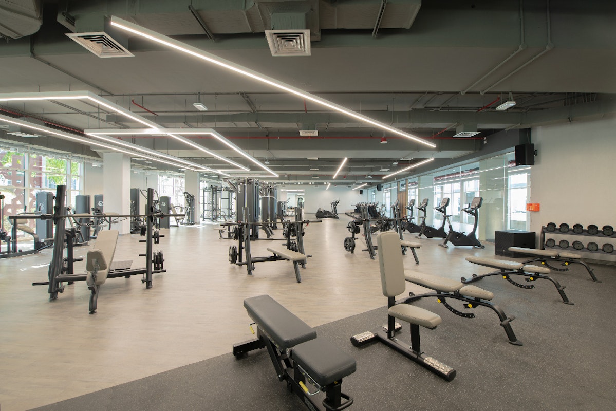 Spacious gym with workout equipment, weight benches, and large windows