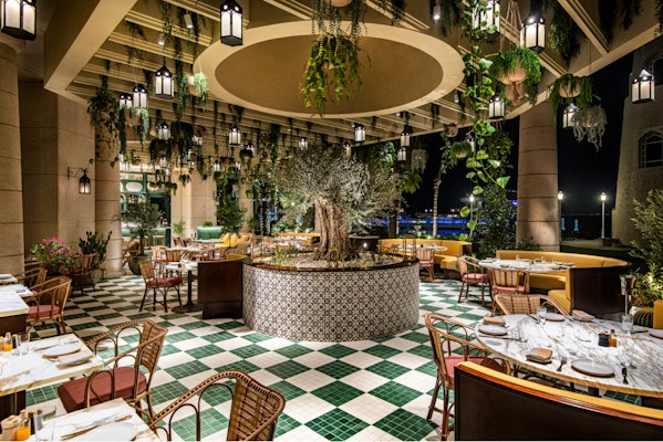 Charming restaurant with greenery, hanging plants, and a central olive tree