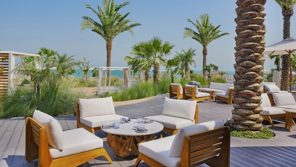 Relaxing outdoor seating area with wooden and white chairs surrounded by palm trees, with a view of the beach.