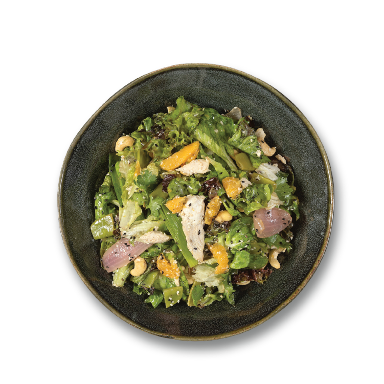 orange + sesame chicken salad