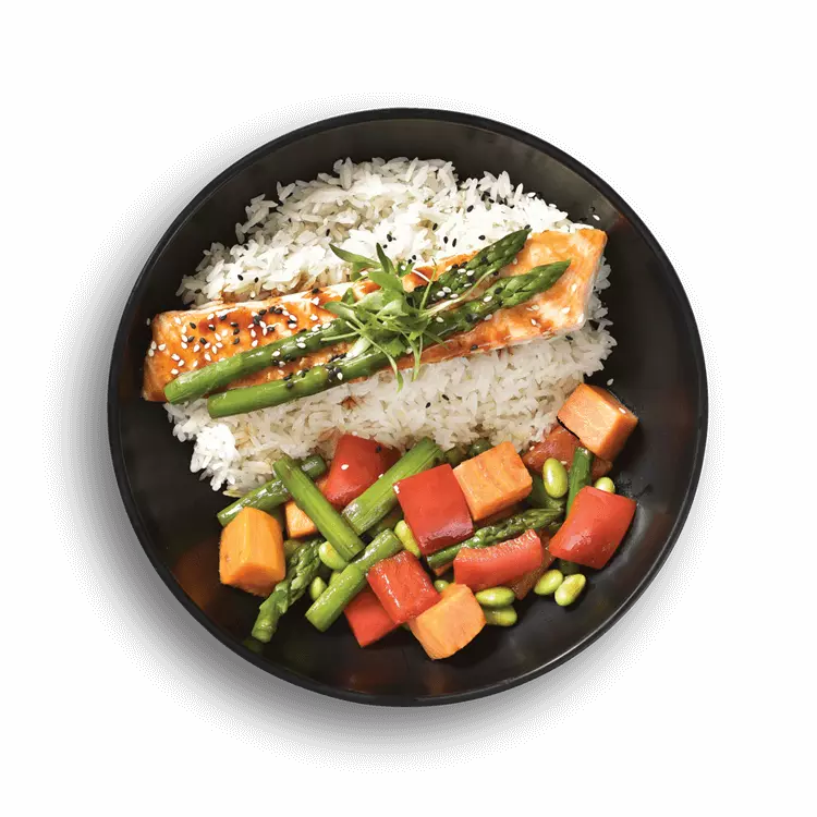 japenese grilled salmon