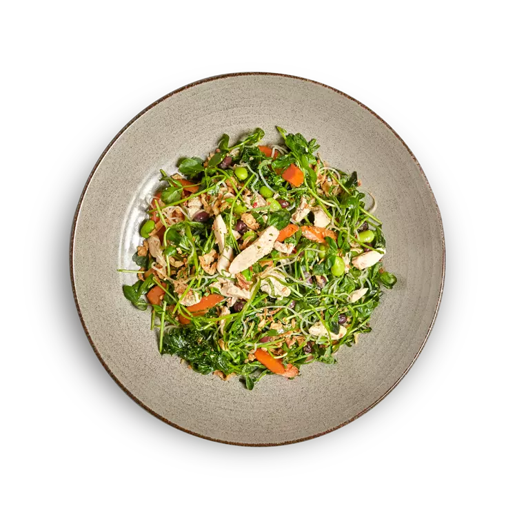 chicken harusame salad