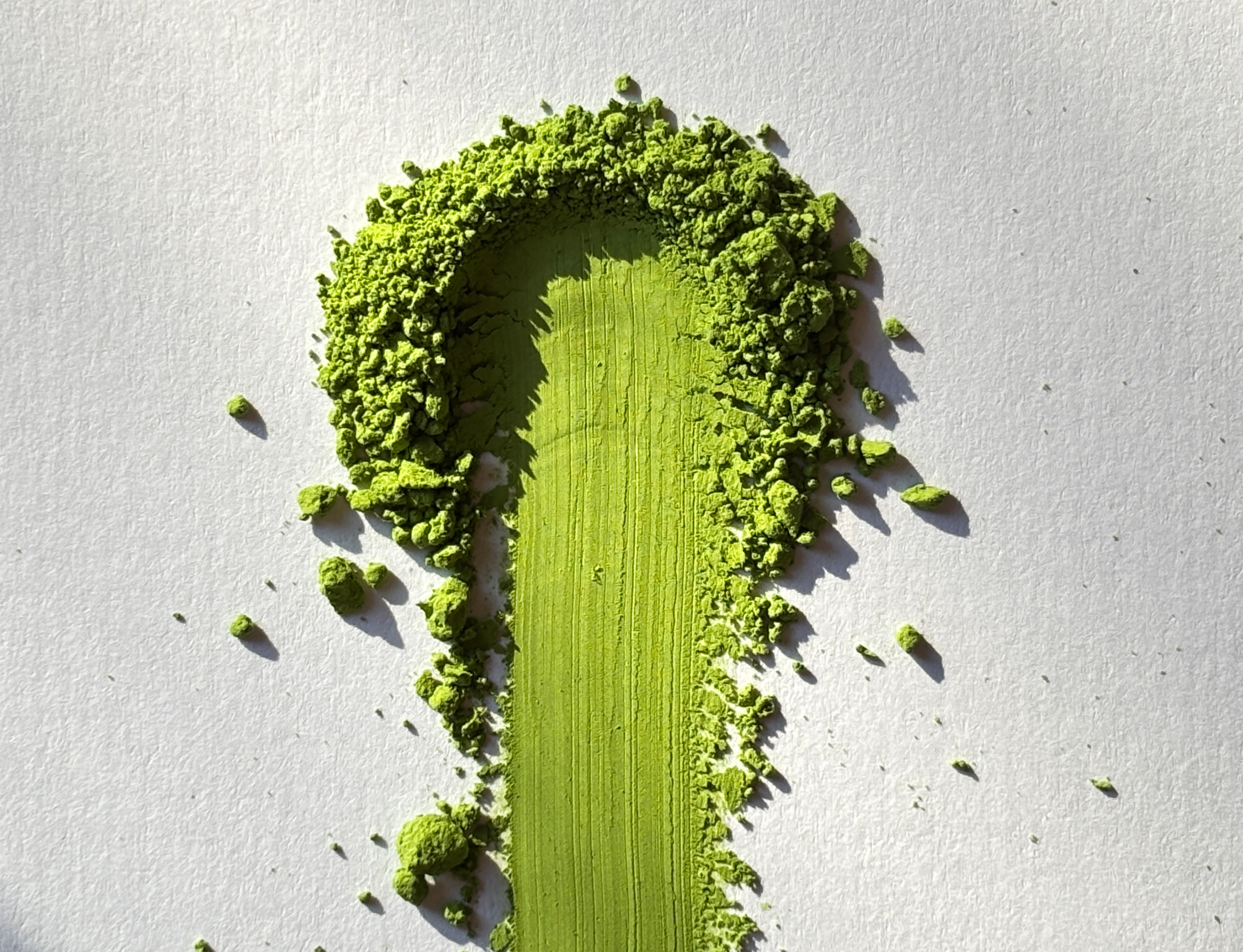 MiMA ceremonialna matcha v prahu, sorta Samidori