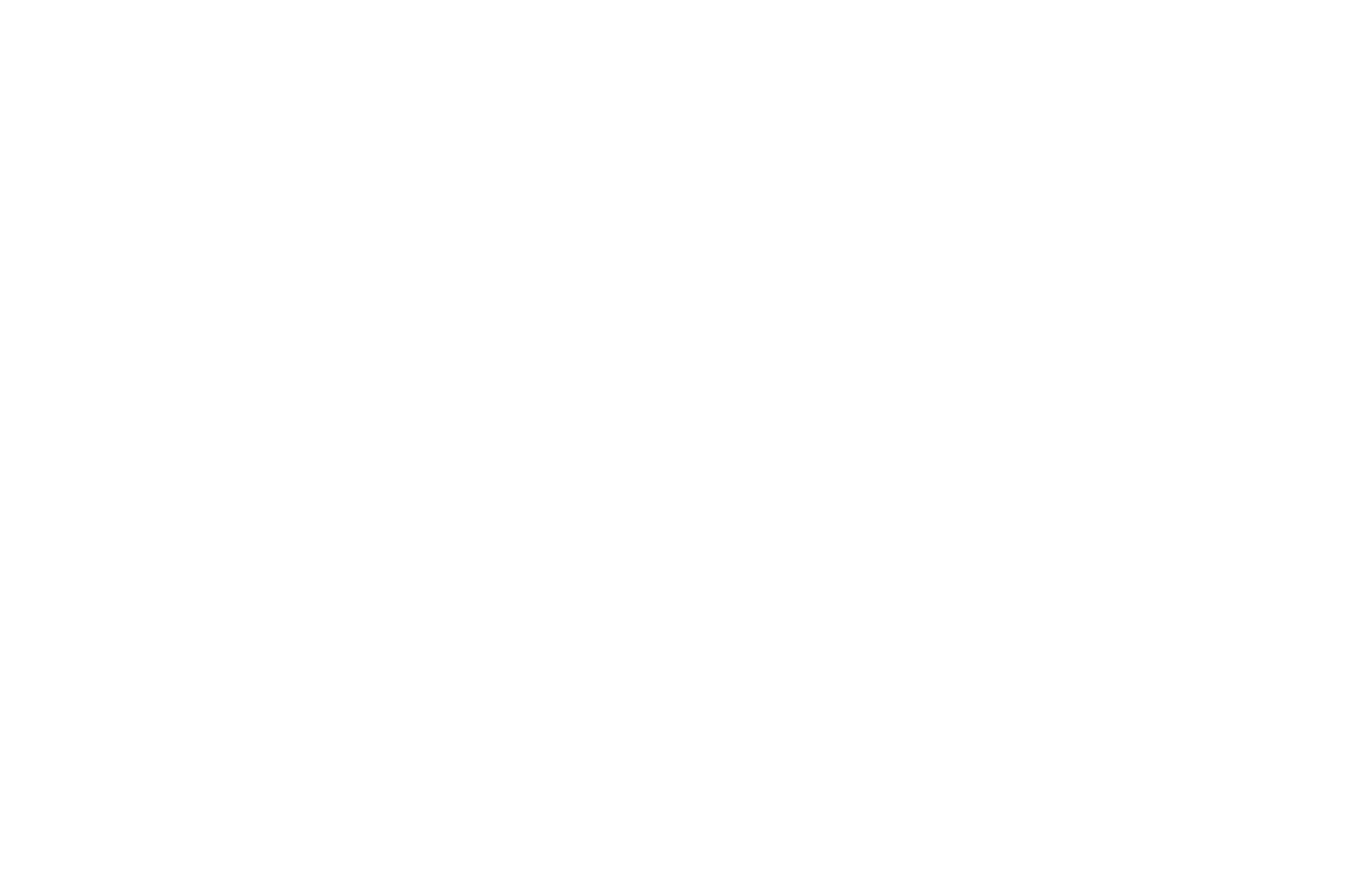 Amsterdam Open Air logo