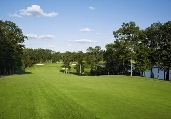 Imported asset: need alt text