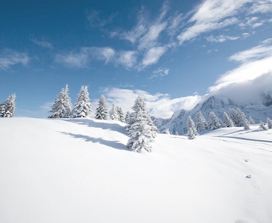 Préventes Les Houches - Saint-Gervais