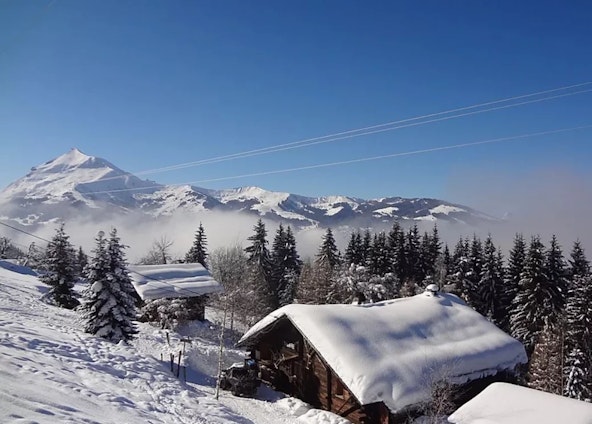 La Tanière