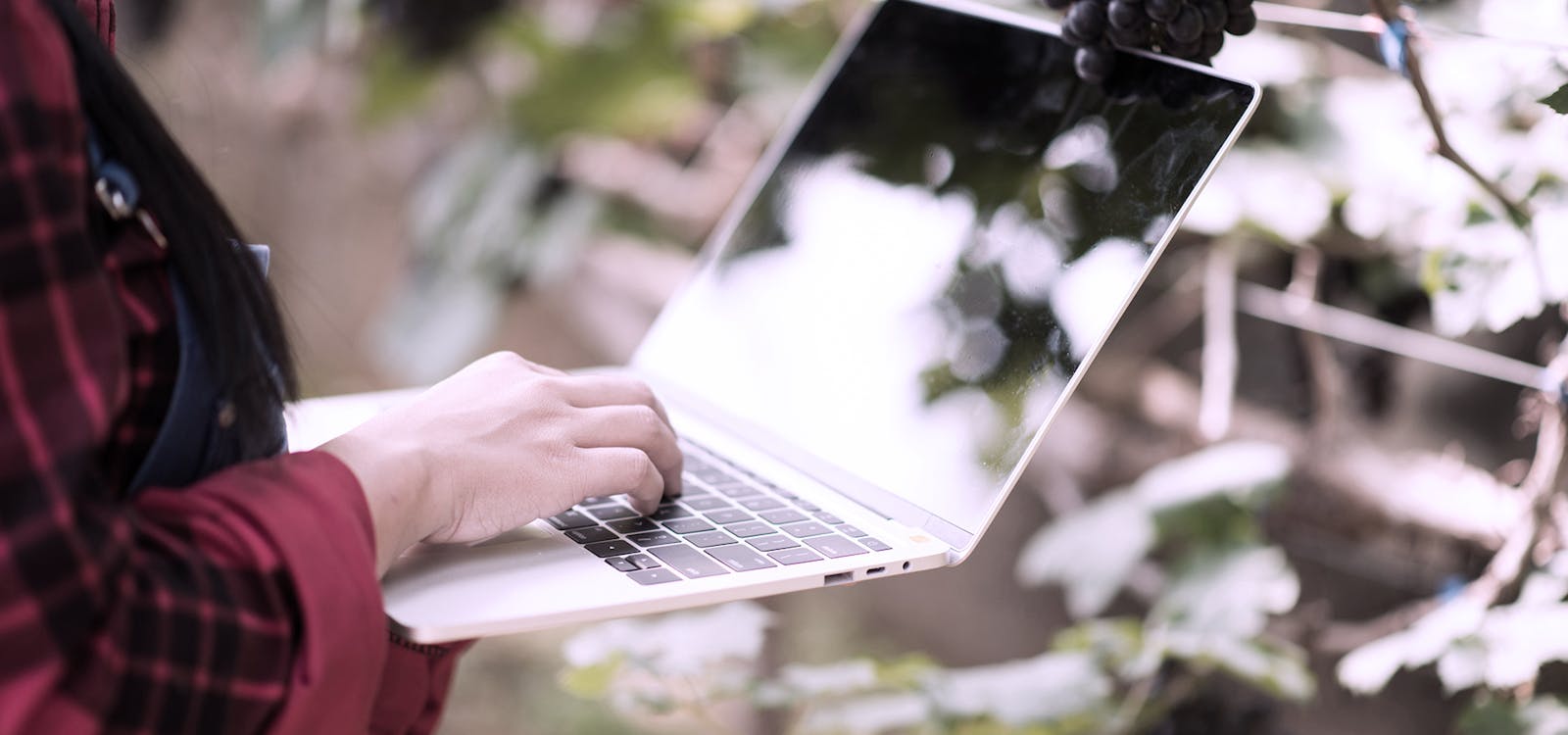 I nostri servizi I nostri servizi