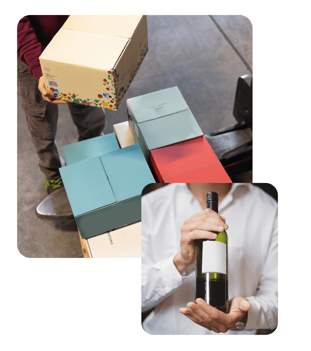 Autoctona Back Office