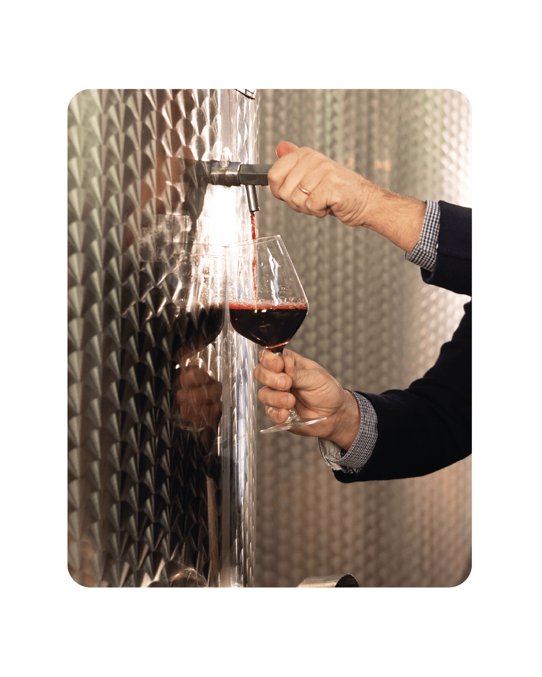 Autoctona assaggio cantina