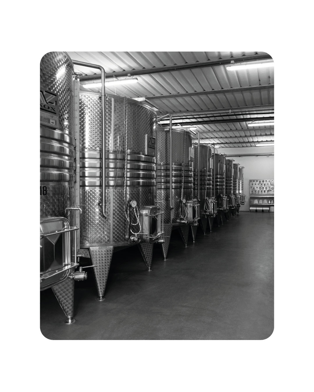 Cantina Autoctona Cantina autoctona