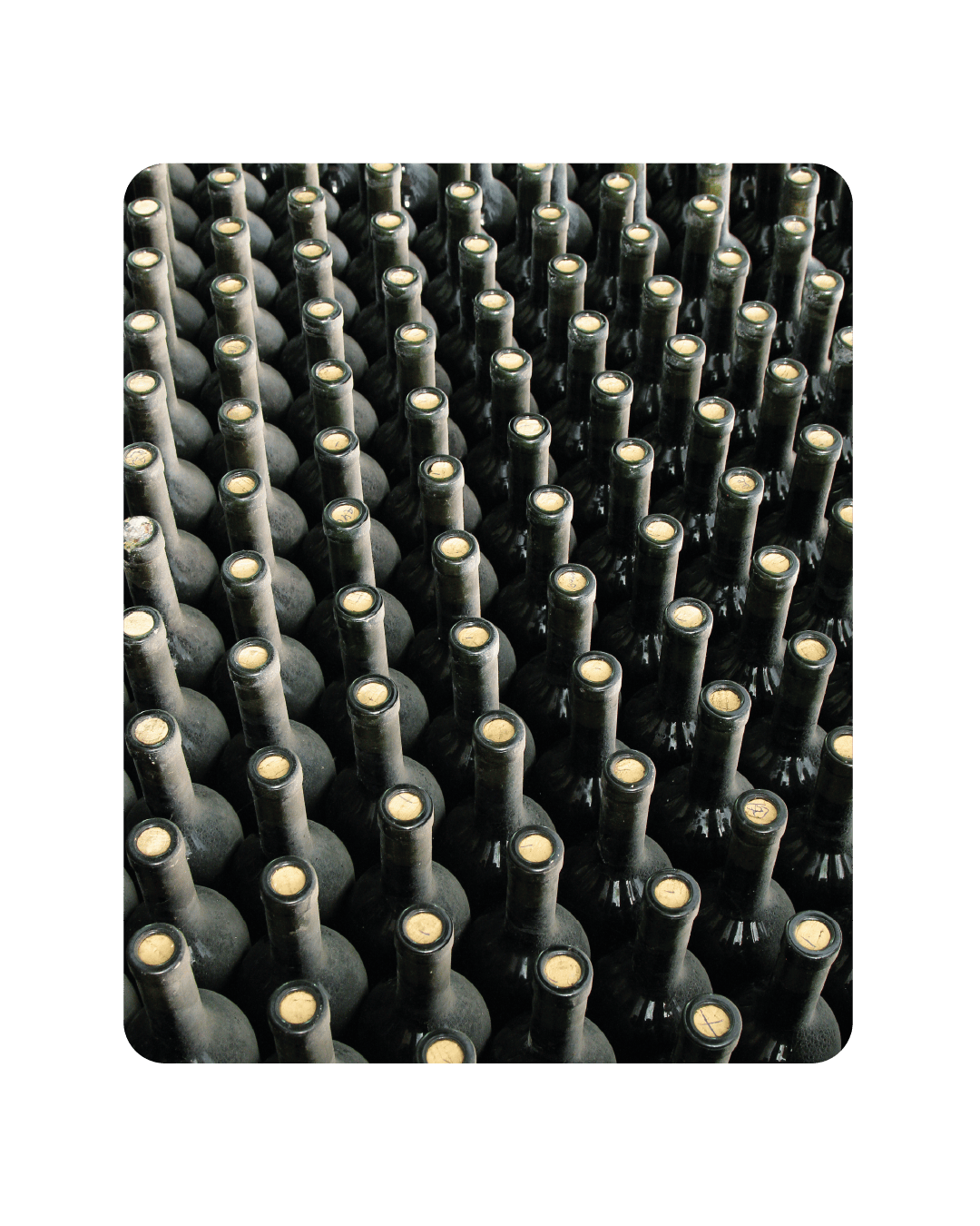 bottiglie con tappi in sughero