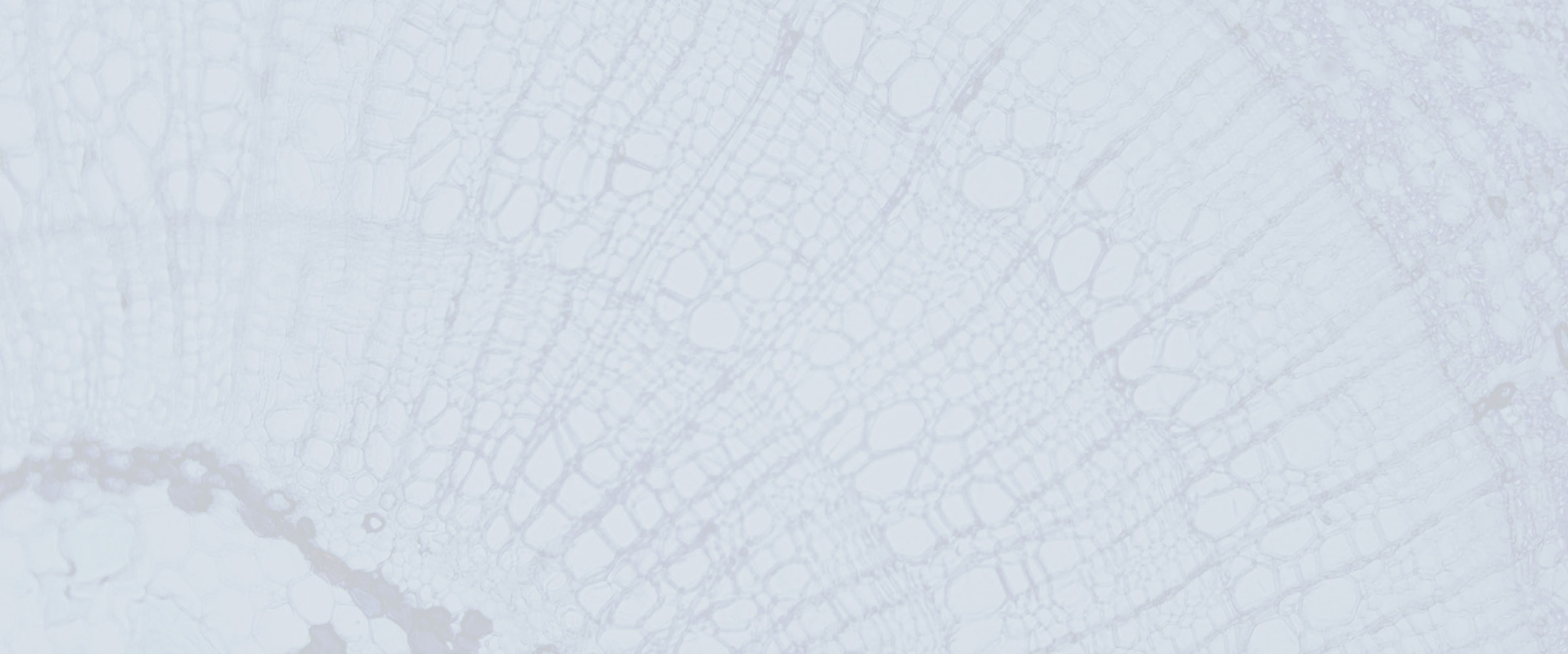 Banner media