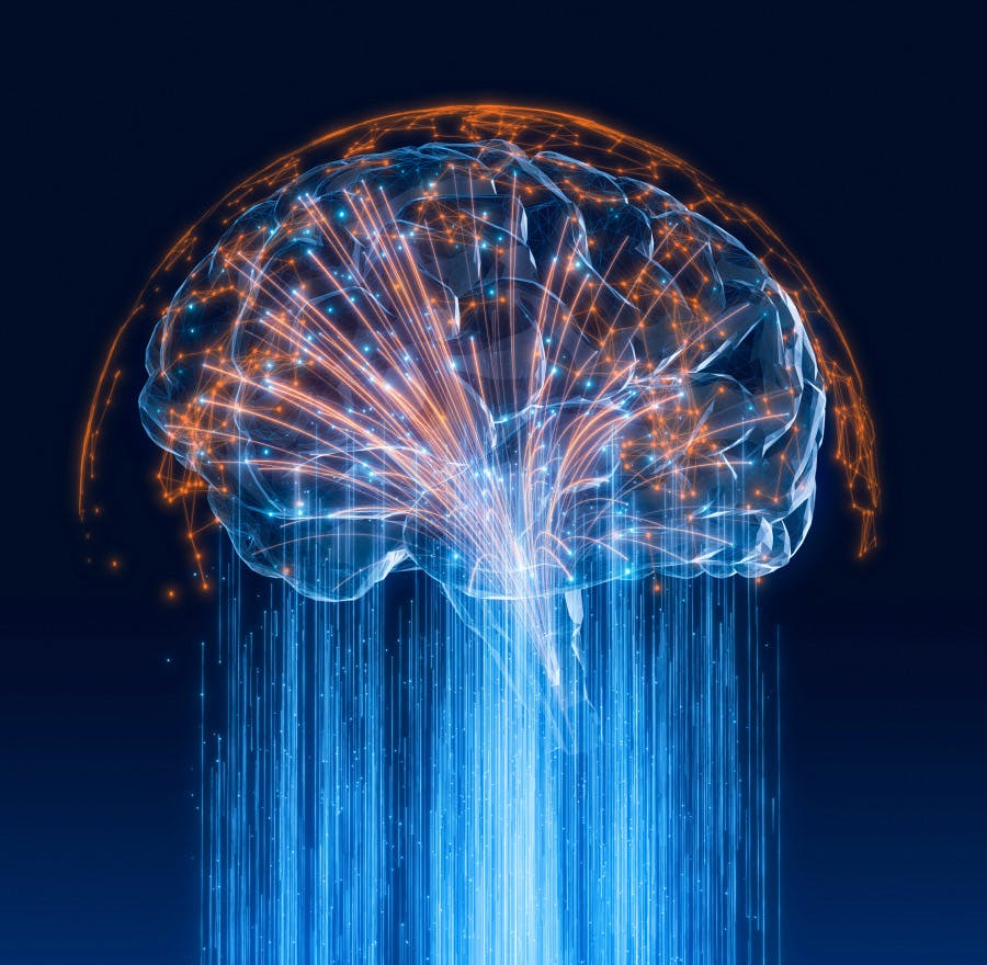 brain imaging