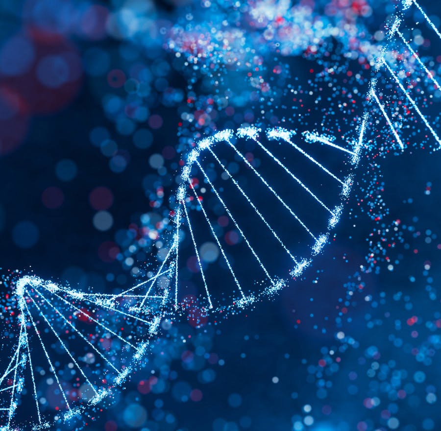 close up of DNA
