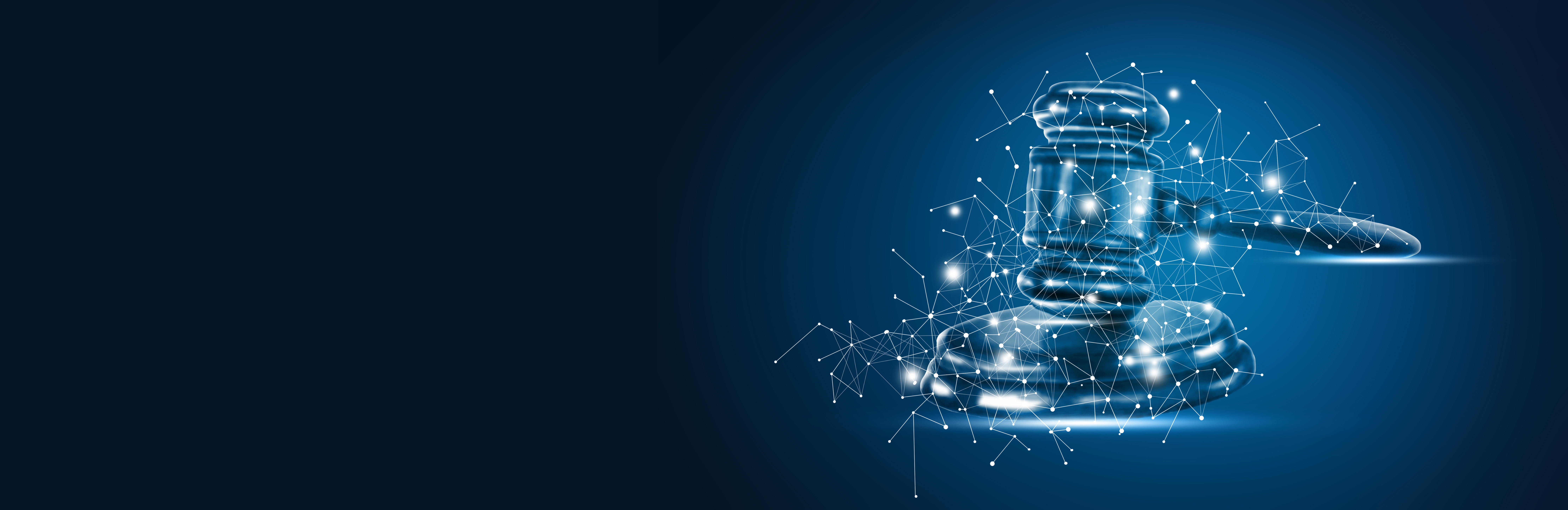 Digital Auction Network