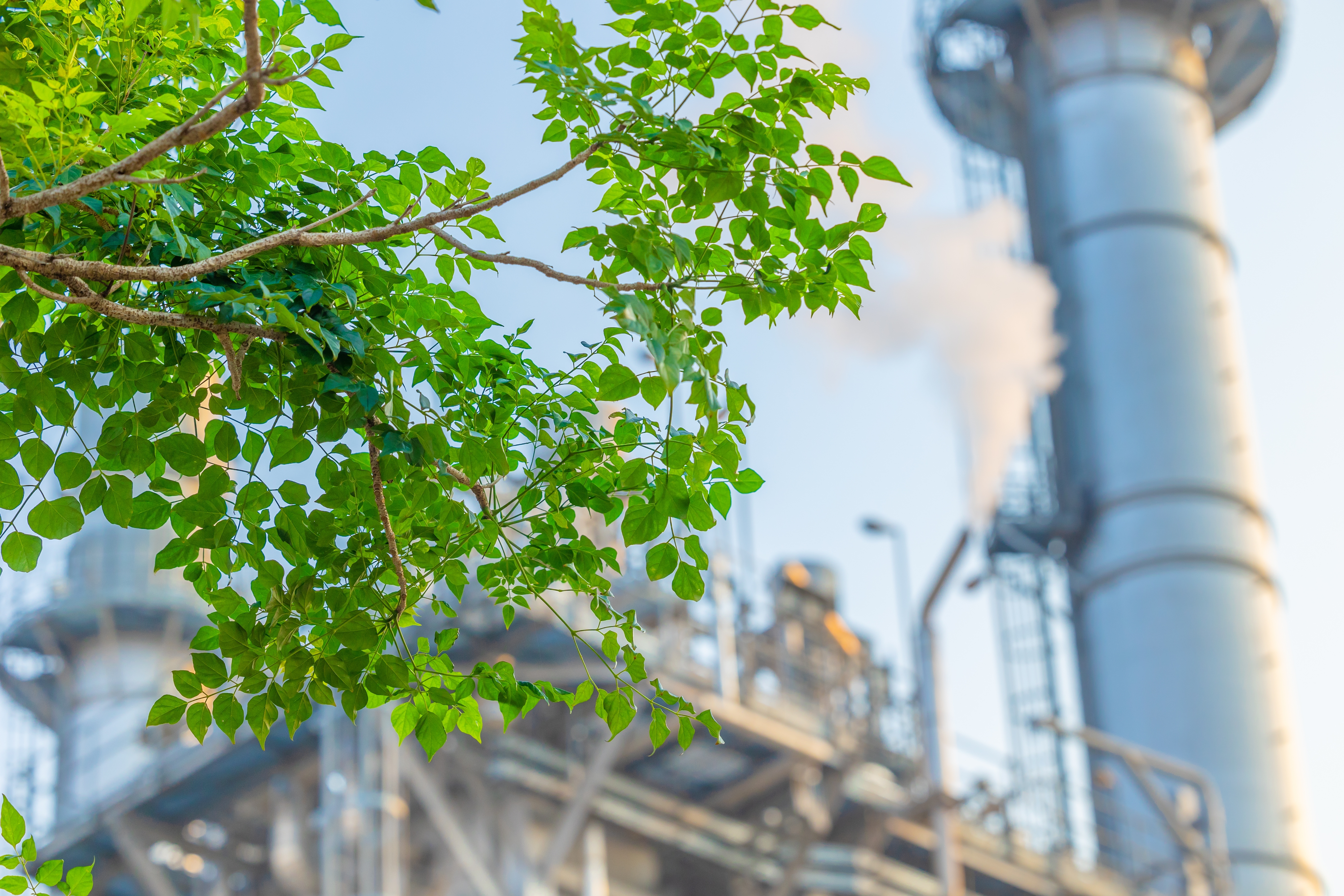 Representation of sustainable industry practices with a focus on eco-friendly solutions and innovation.