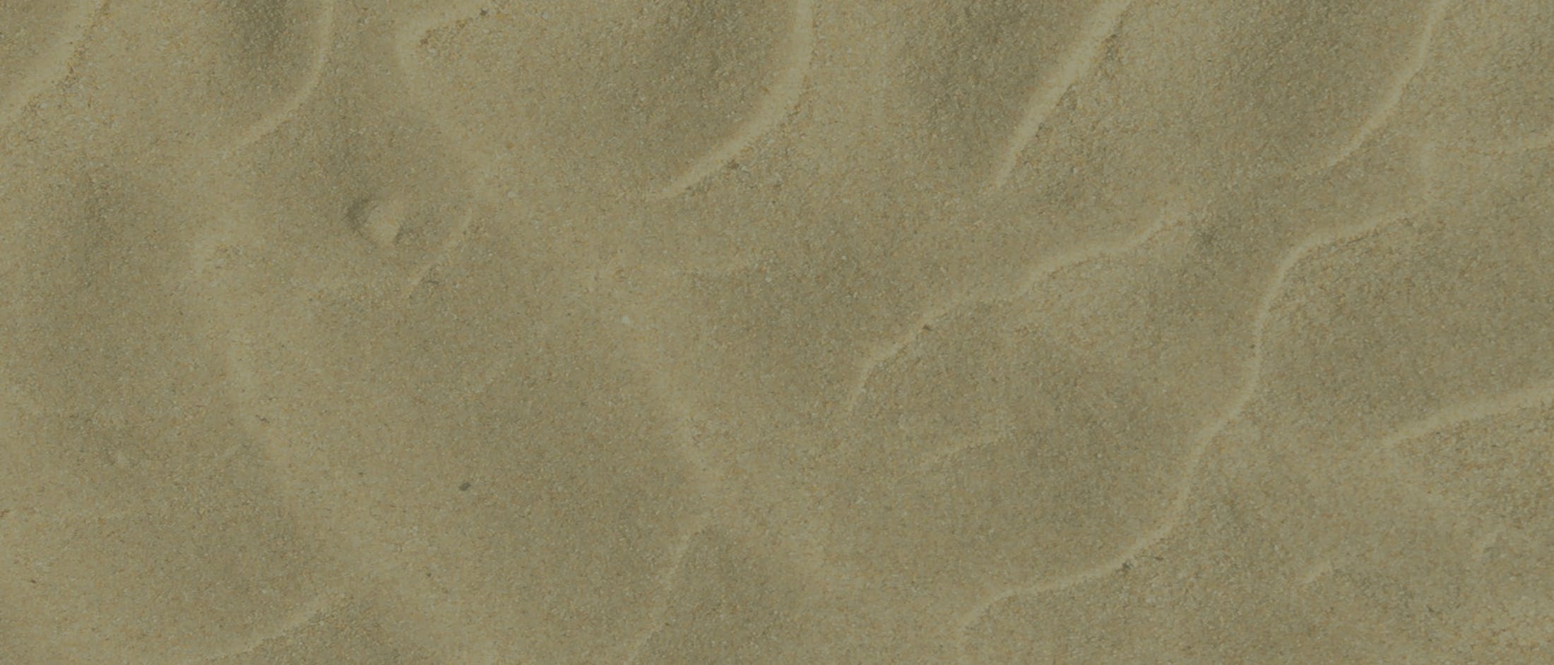 Background media