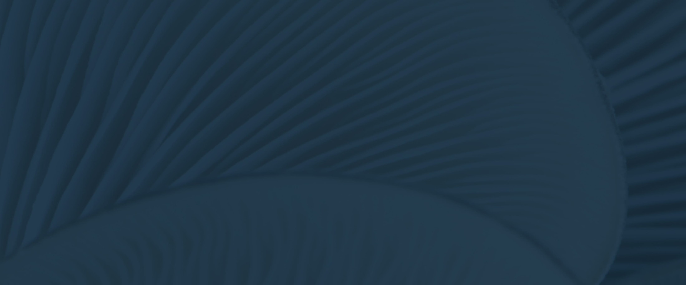 Banner media