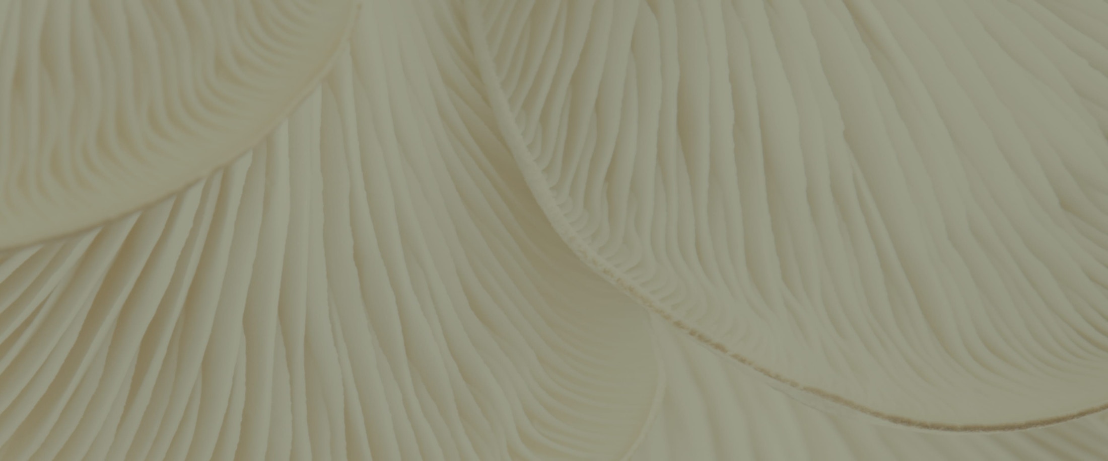 Banner media