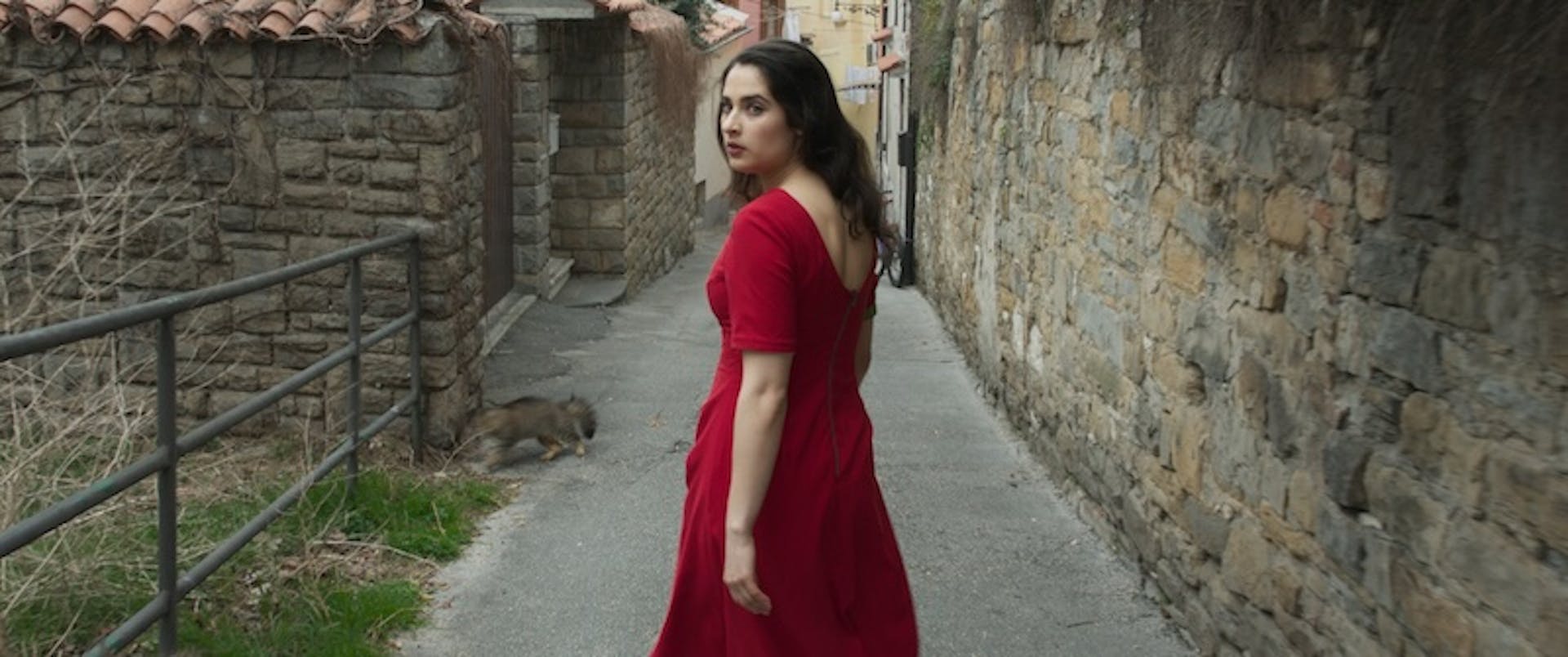 NEVIDNA ROKA ADAMA SMITHA