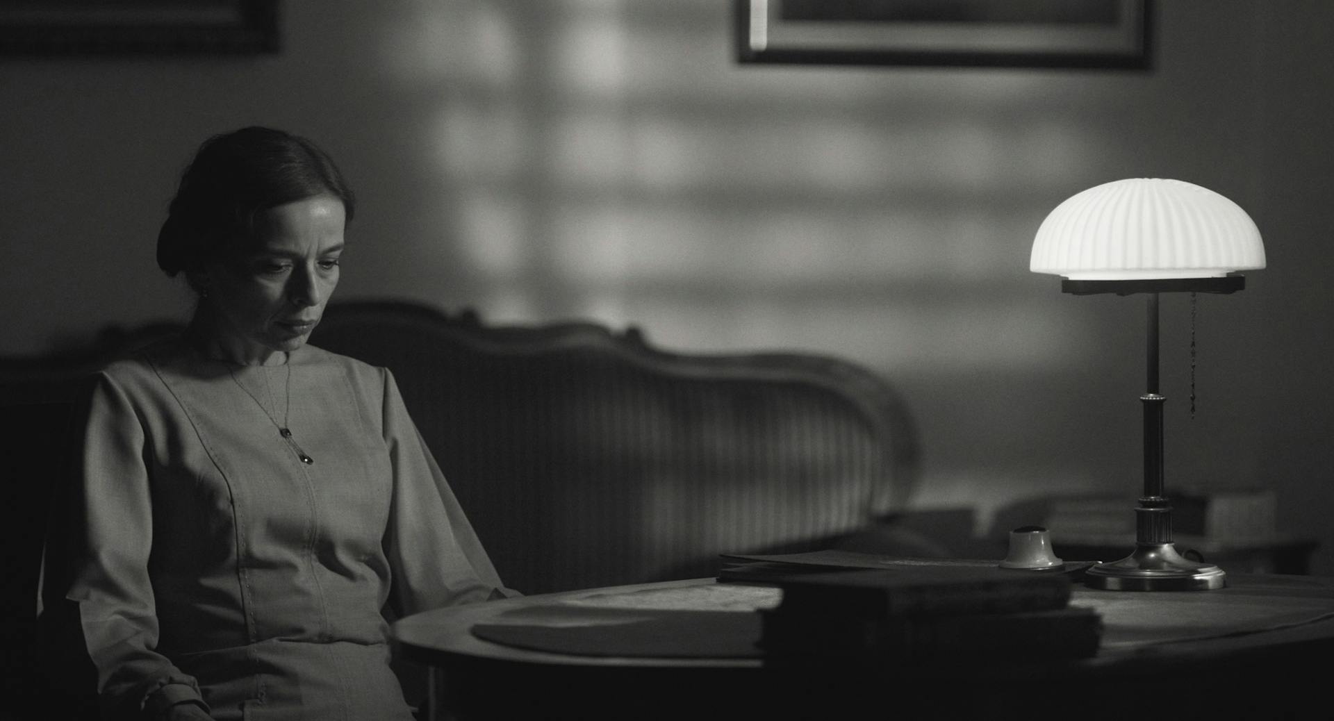 DNEVNIK DIANE BUDISAVLJEVIĆ