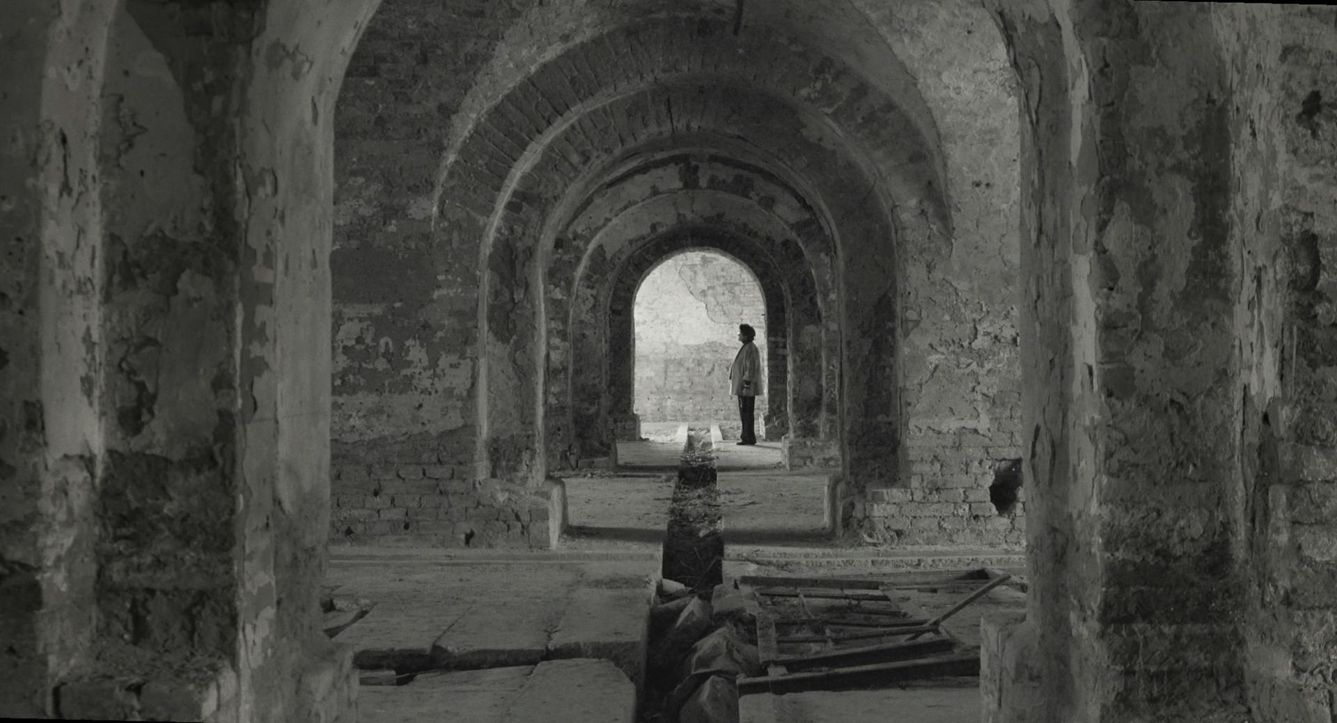 DNEVNIK DIANE BUDISAVLJEVIĆ