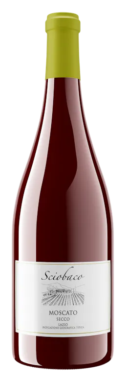Sciobaco Moscato Secco