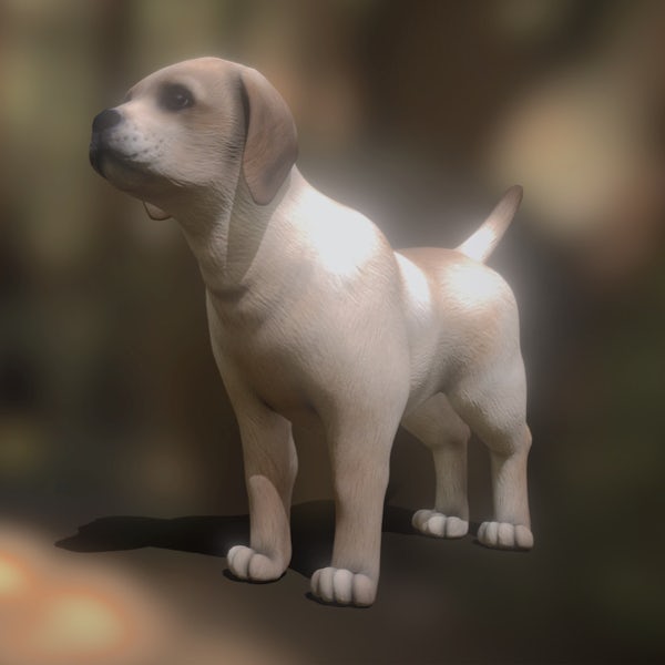 Veterinaria