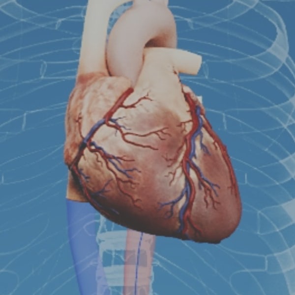 Cardiologia