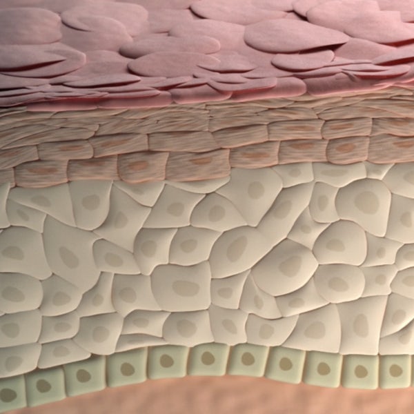 Dermatologia