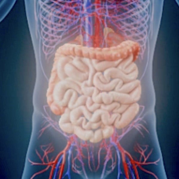 Gastroenterologia