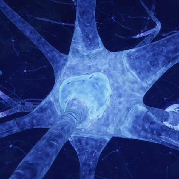 Neurologia