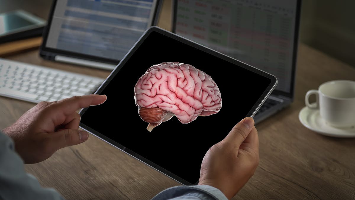 3D Interactive Solutions