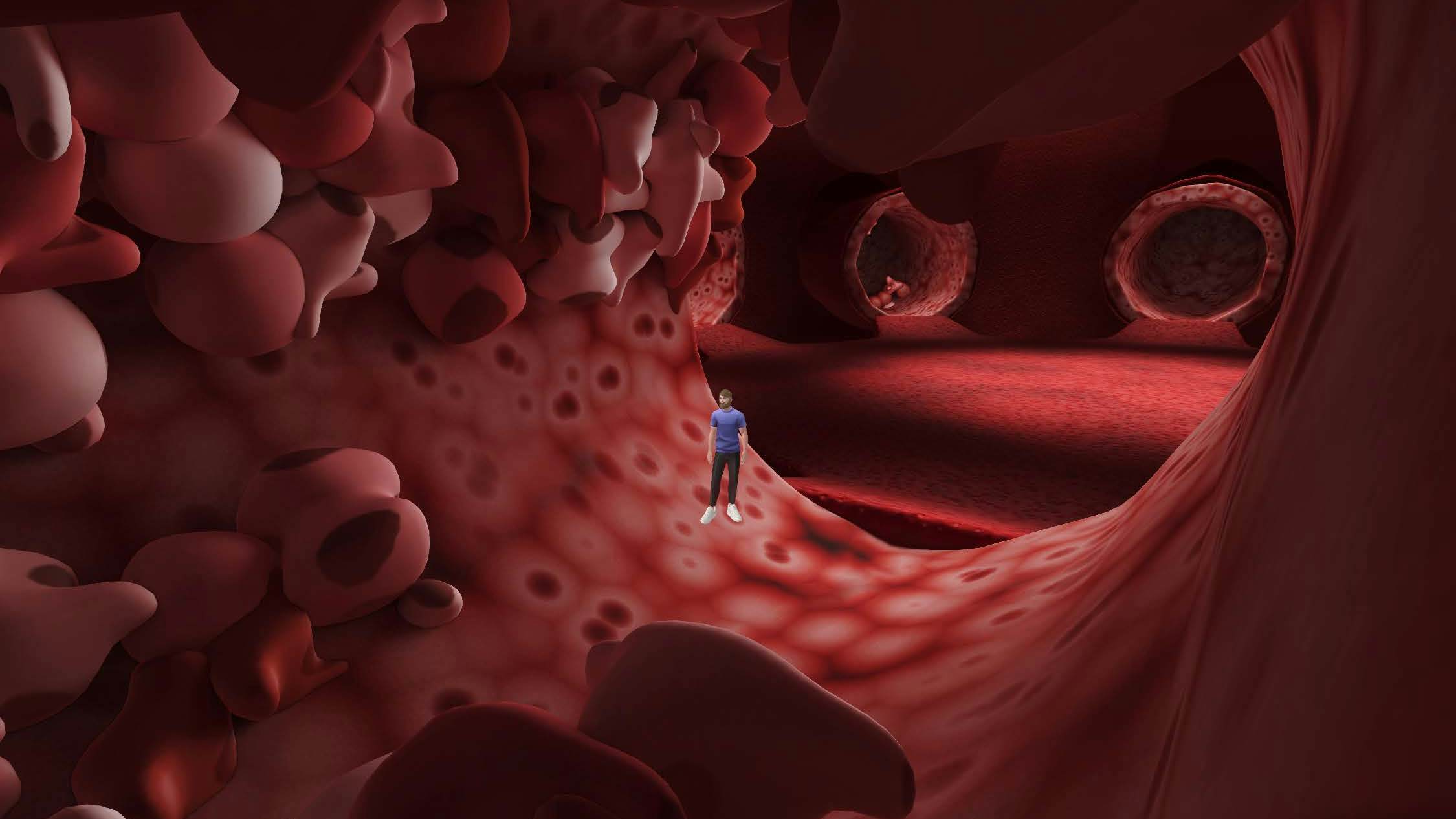 Medical Metaverse