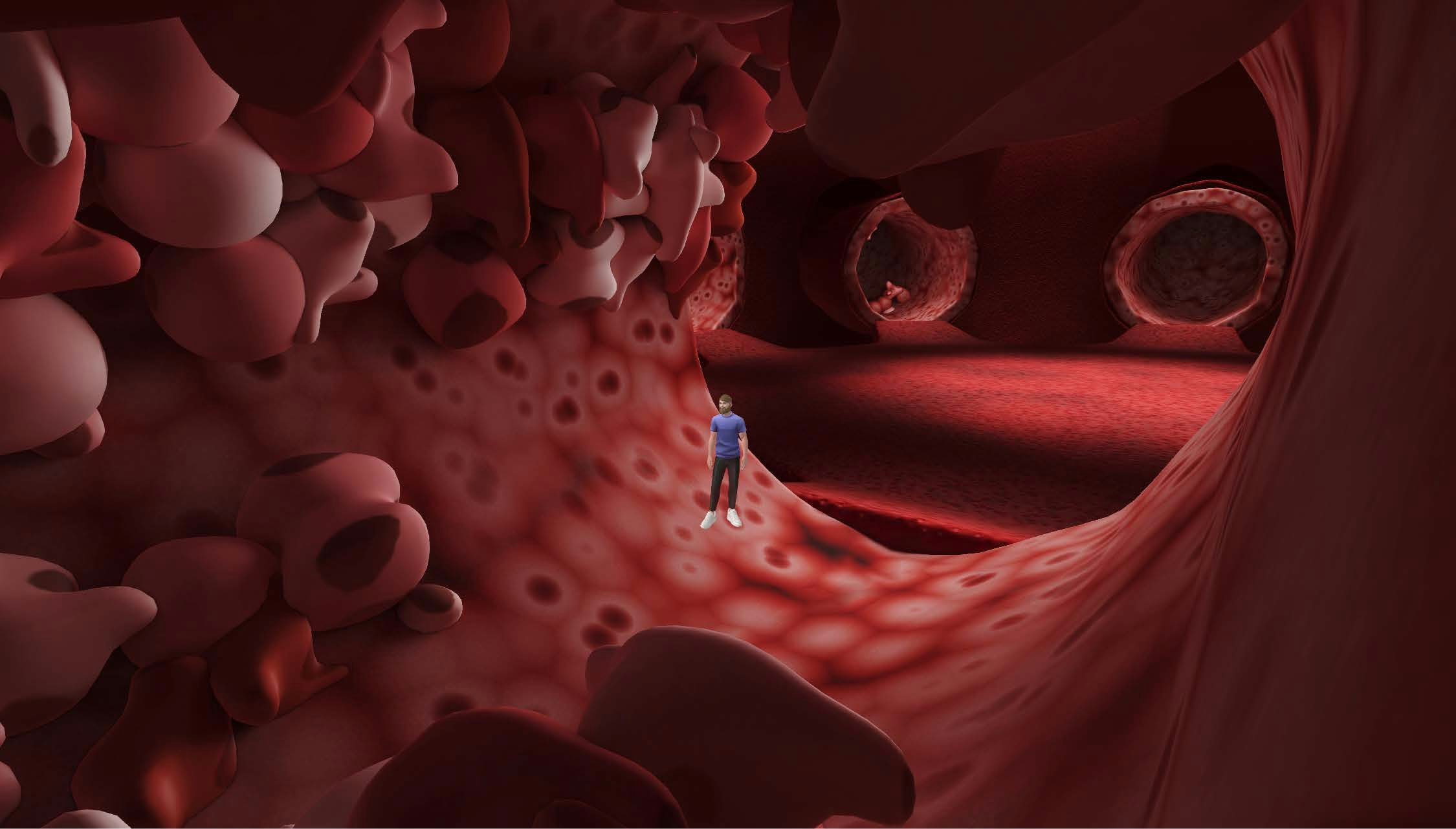 Medical Metaverse