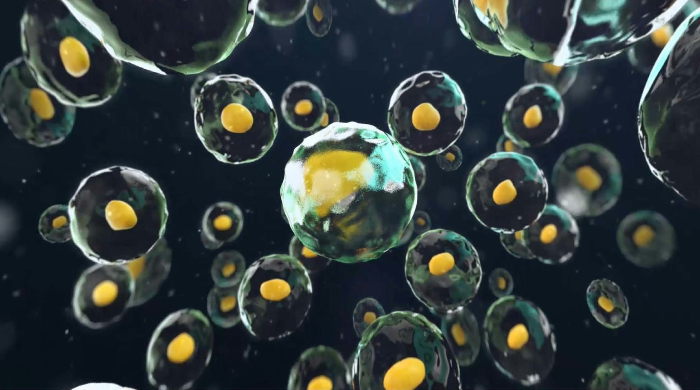 Scientific Illustrations