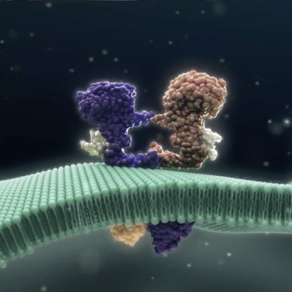 Oncology
