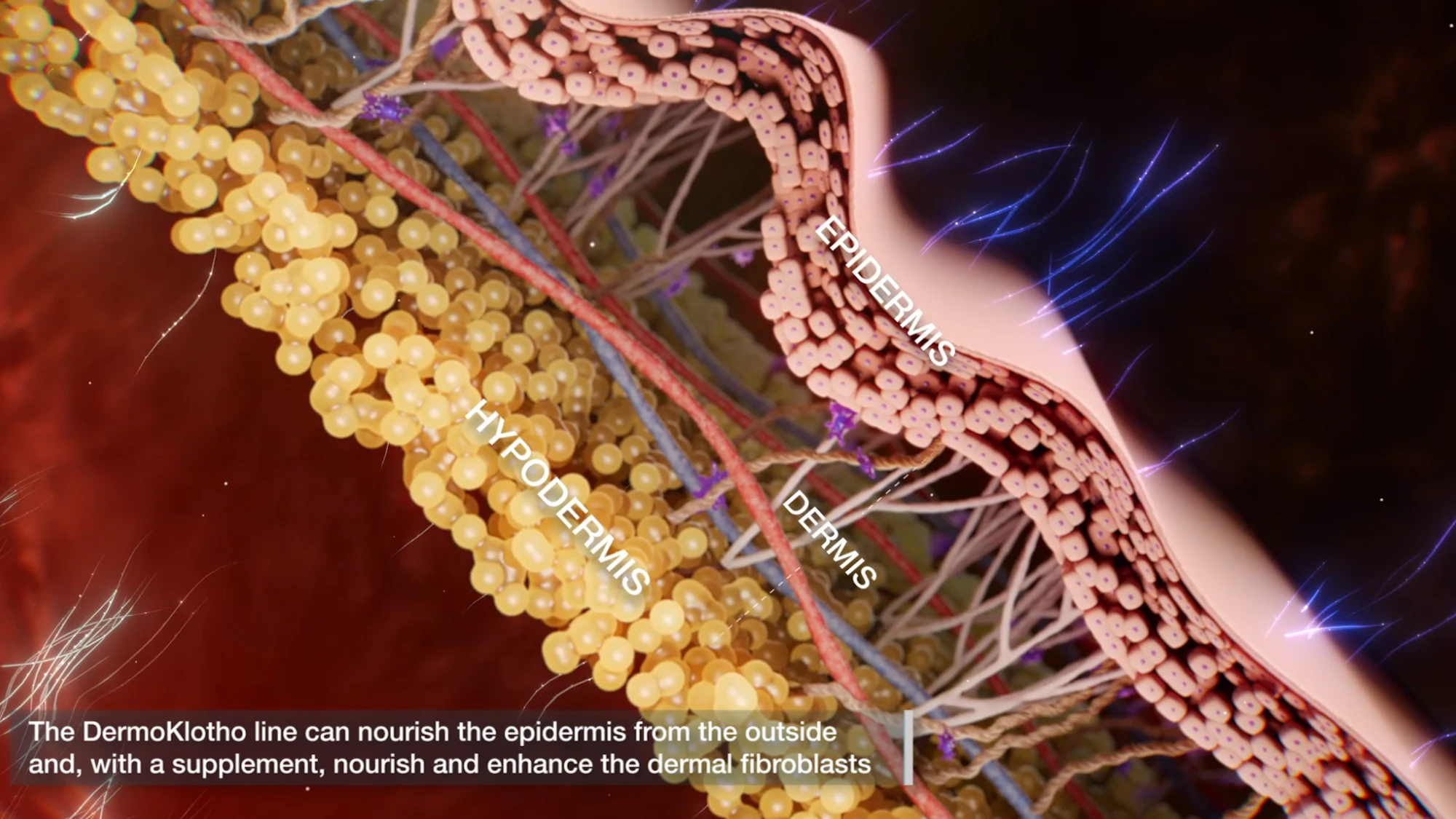 Nutriresearch