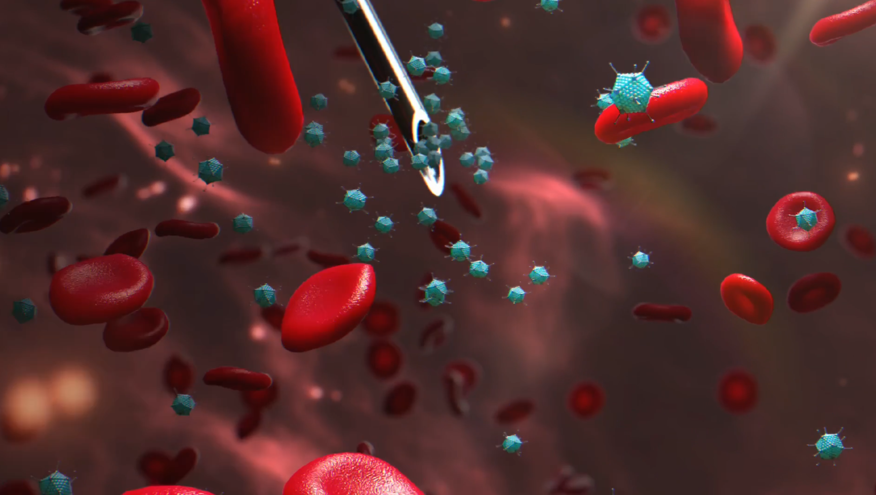 Le Fasi di Realizzazione di un Video MOA in 3D