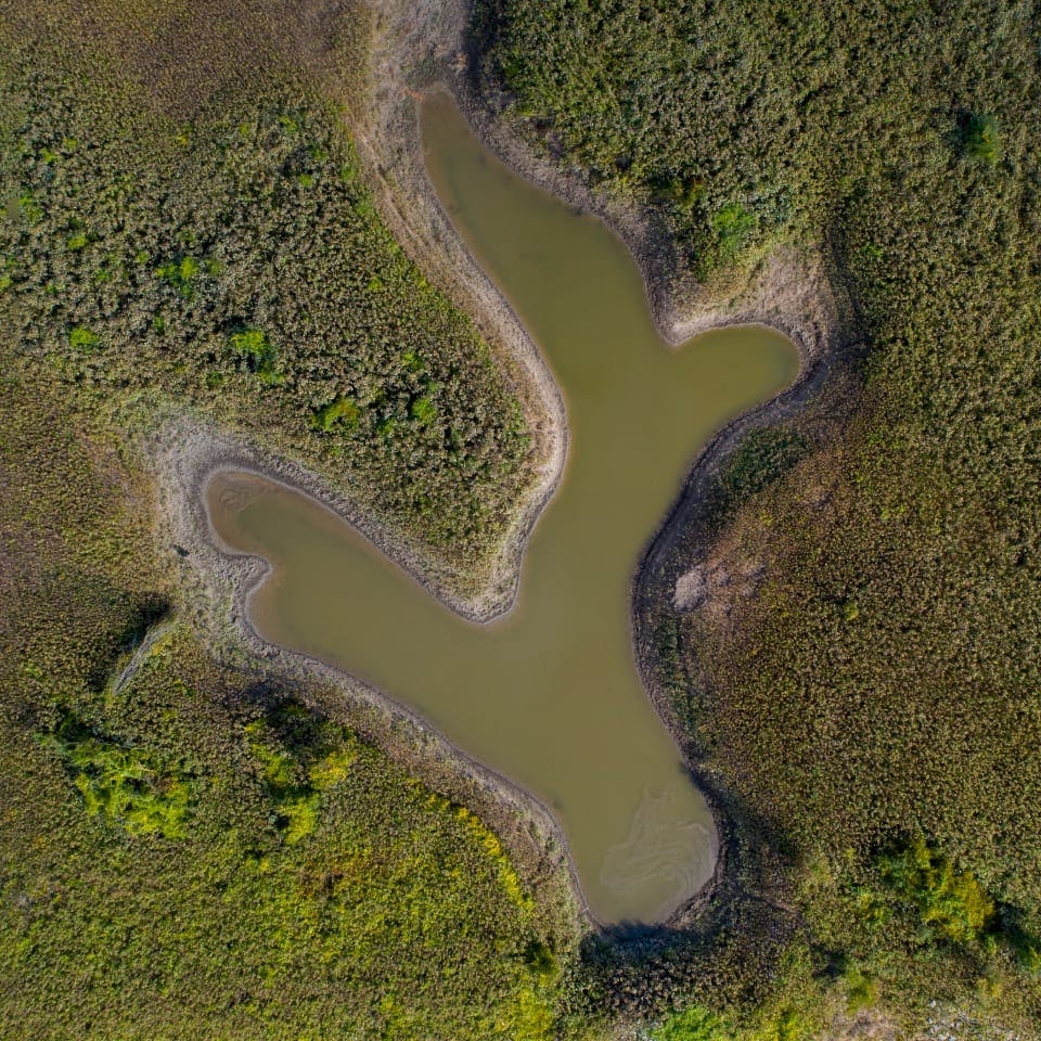 bird eye view of a green lake