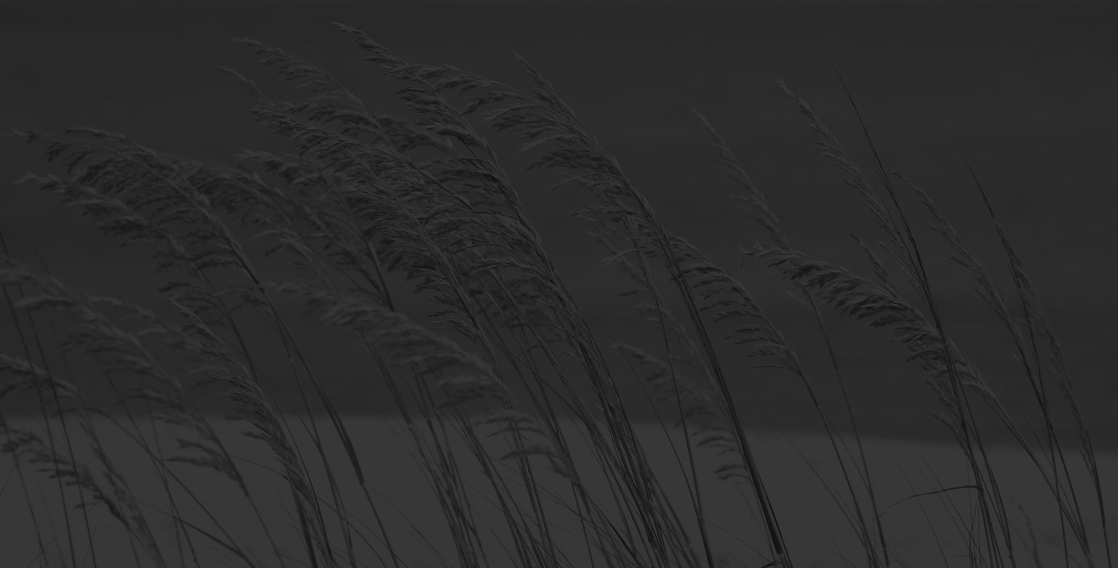 Banner media