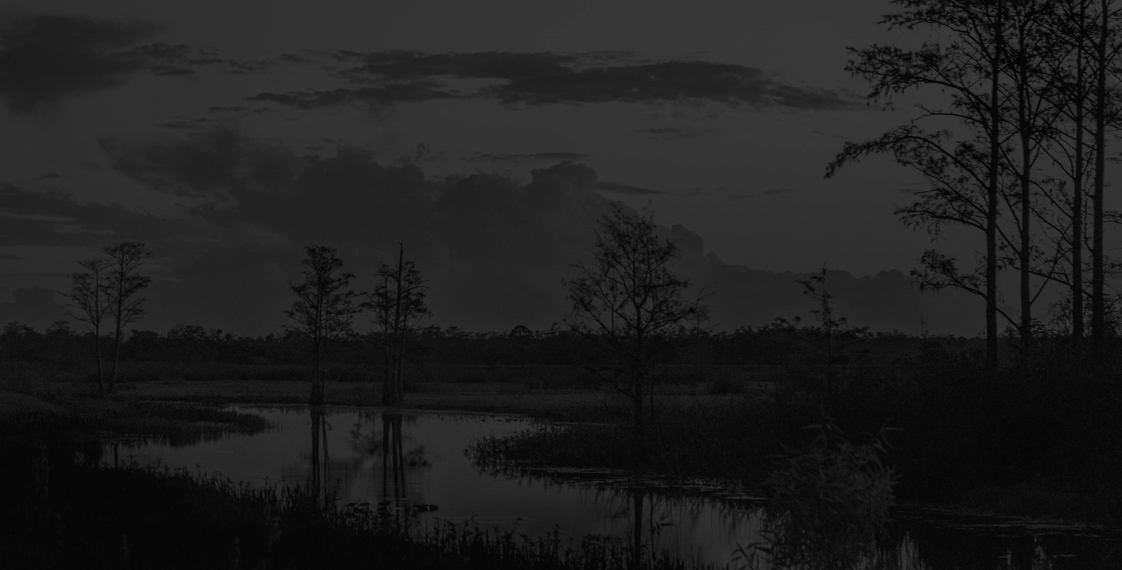 Banner media