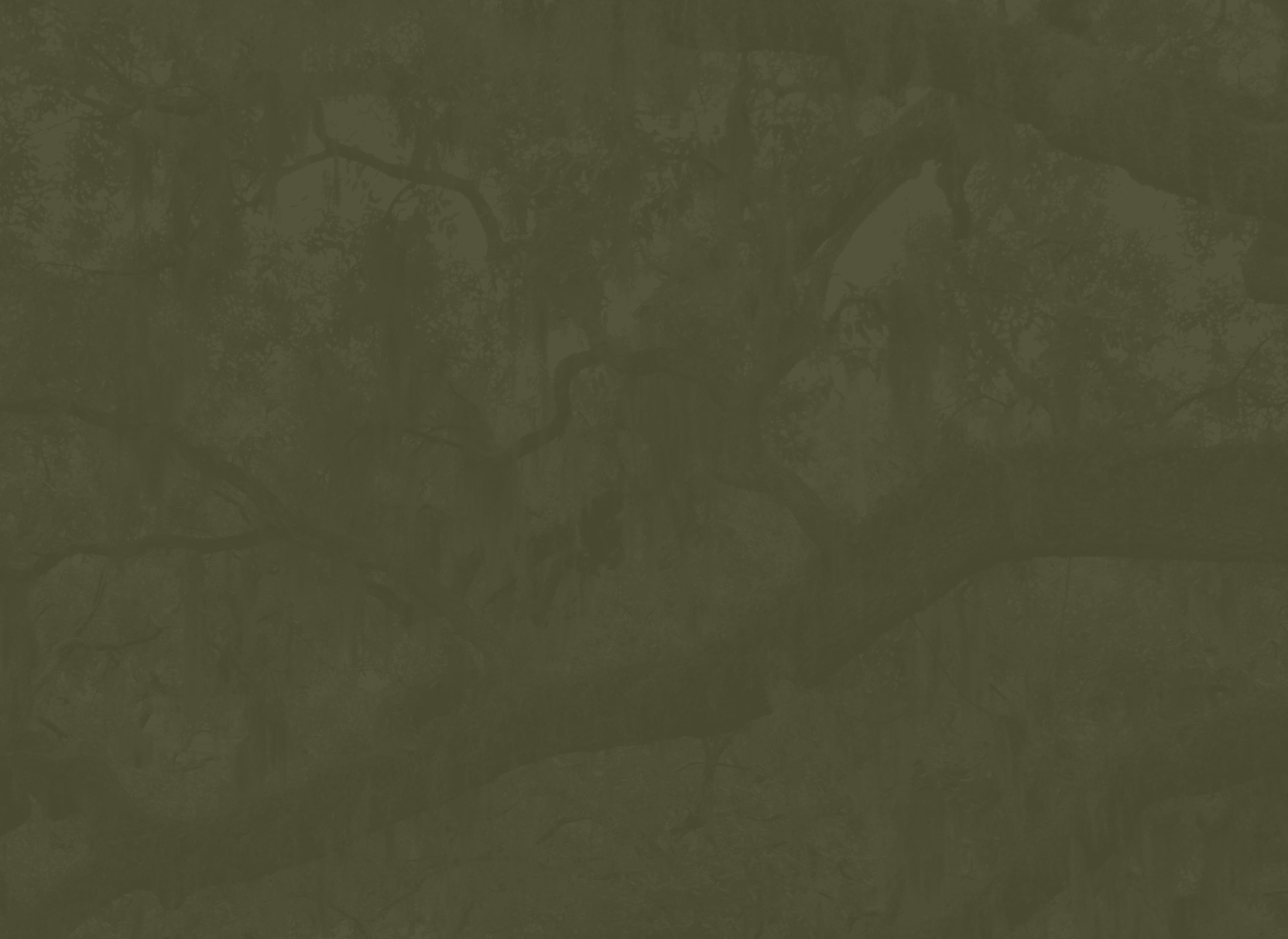 Background media
