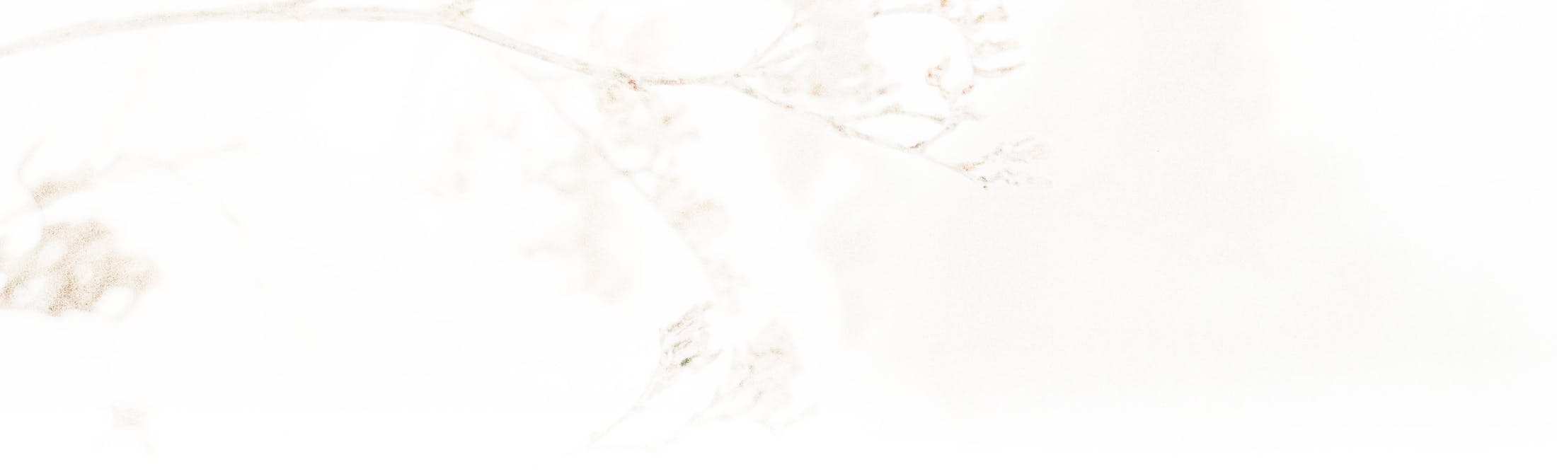 Background imagery