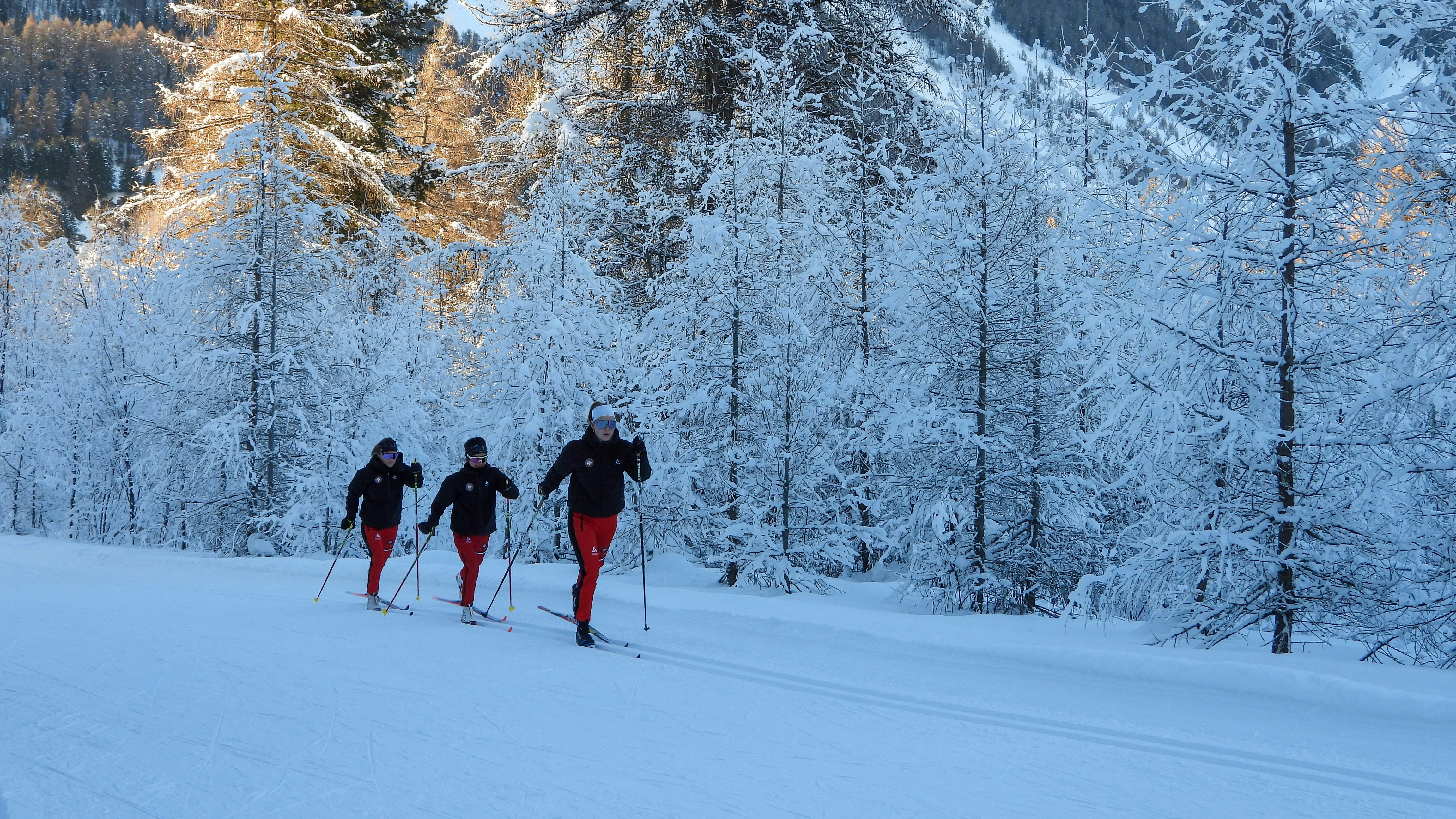 Cross-country classic in front of a snowy forest