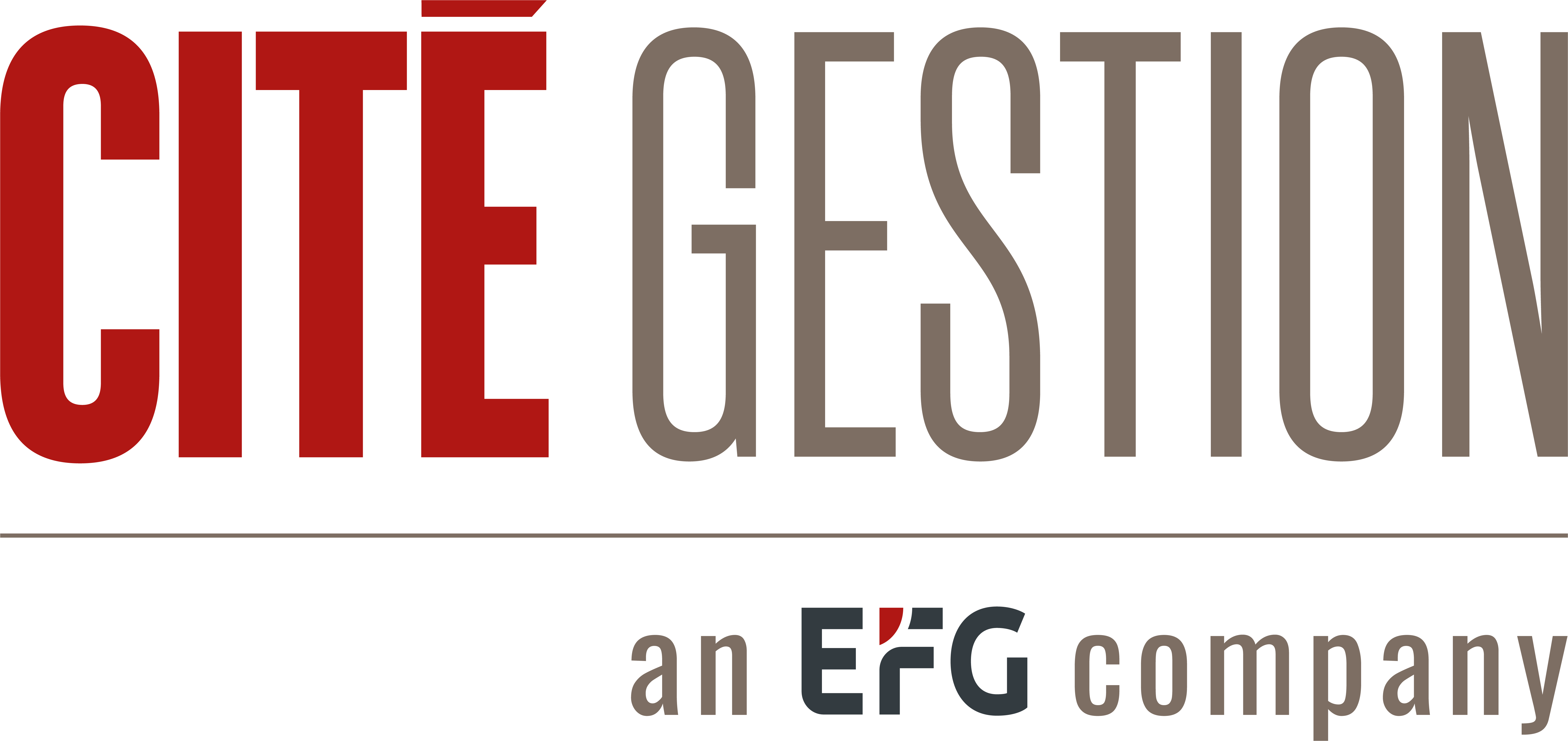 Cite Gestion Logo