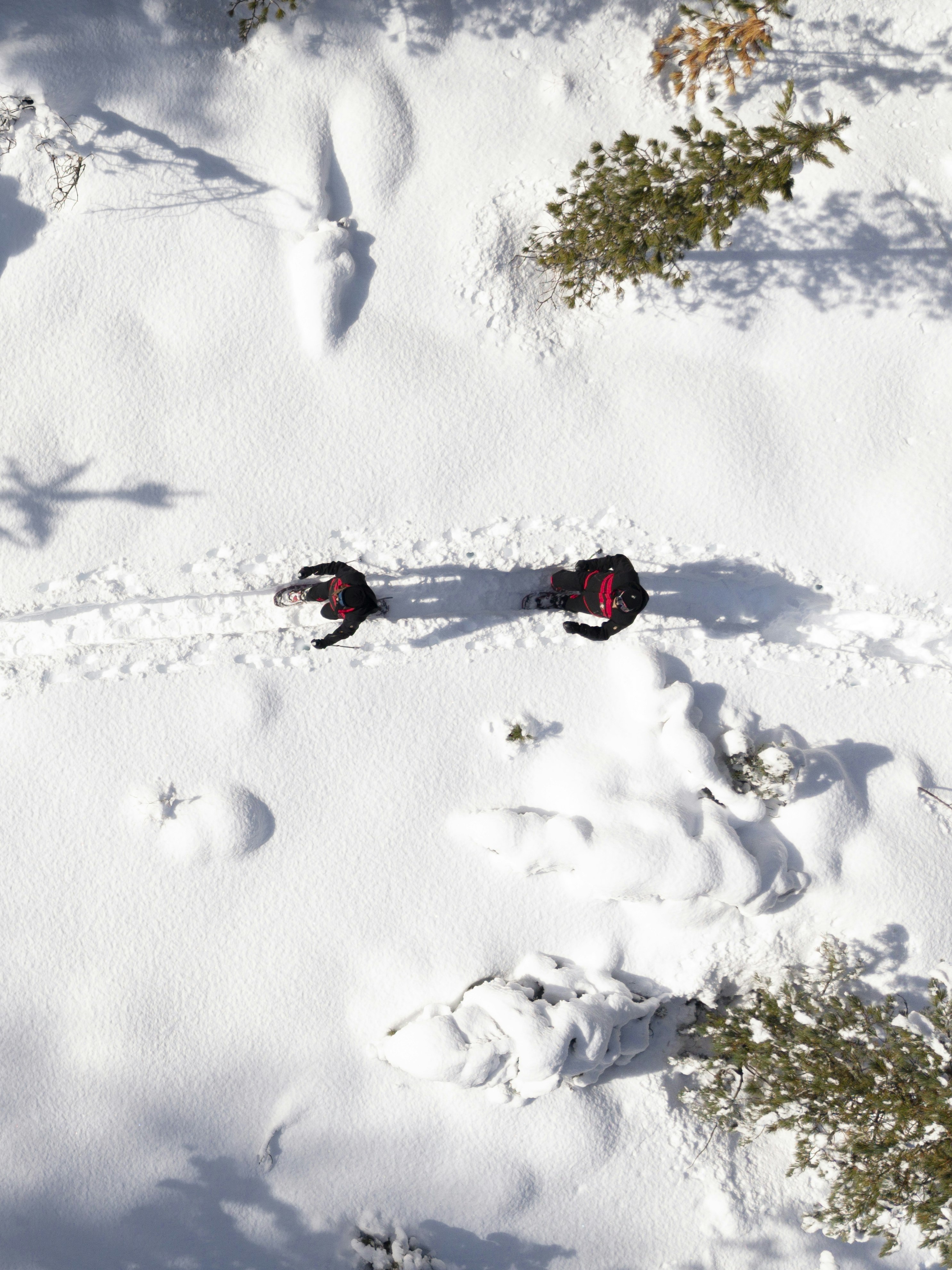Schneeschuh Schneeschuh