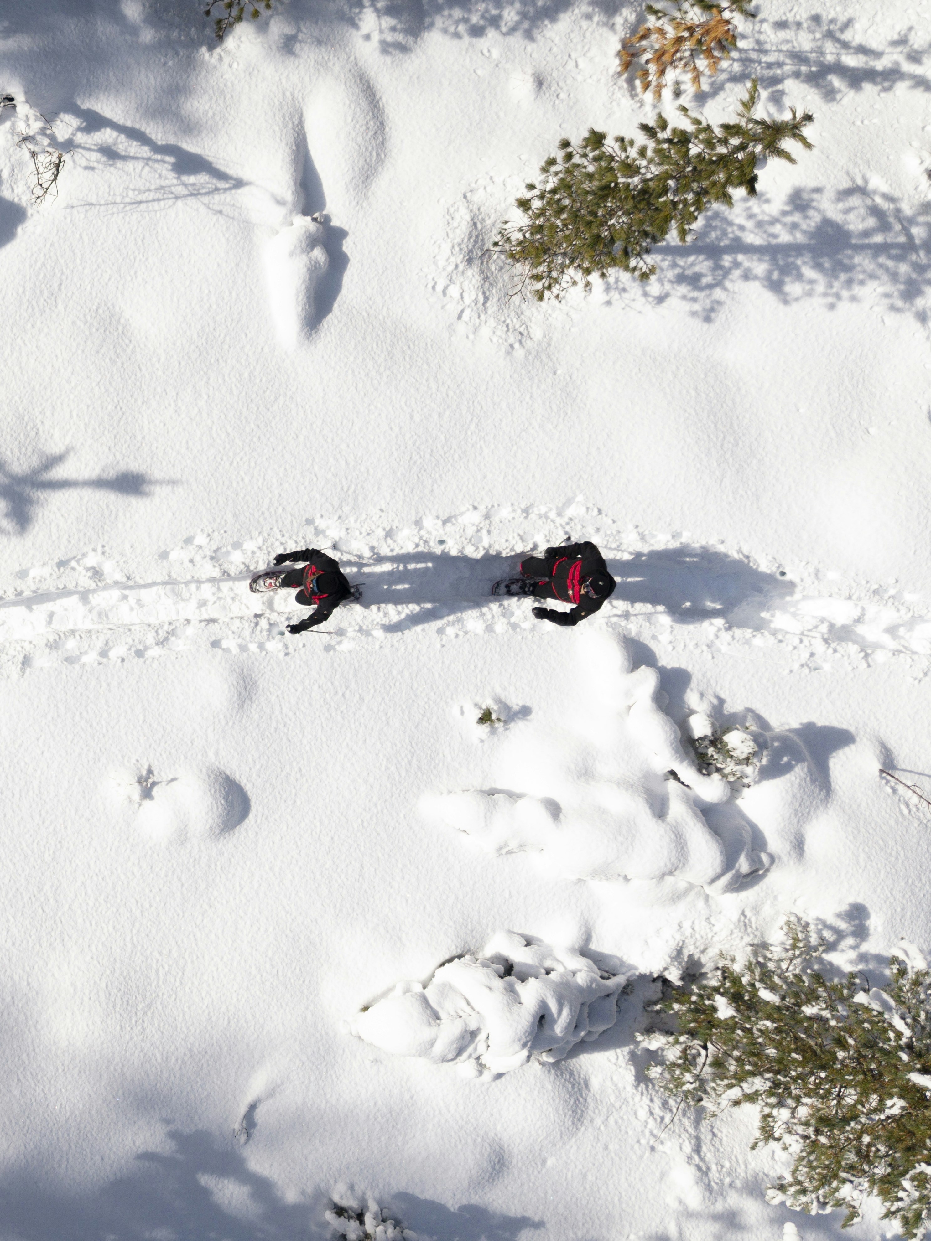 Schneeschuh Schneeschuh